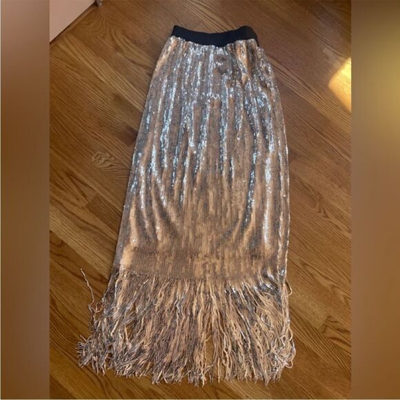 Rachel Comey Treadlight Silver Sequin Fringe Maxi Skirt sz 0 XS - Picture 7 of 7